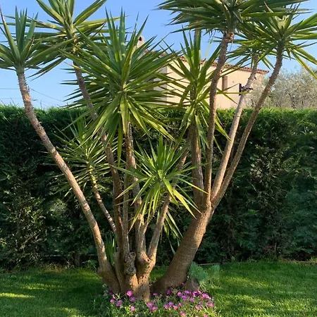 Elimia Piscine Privee & Chauffee Rum i privatbostad Antibes