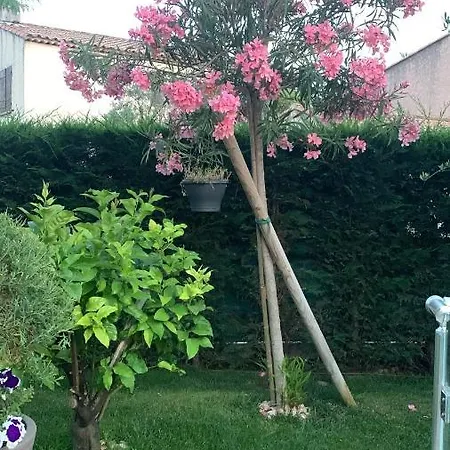 Elimia Piscine Privee & Chauffee *